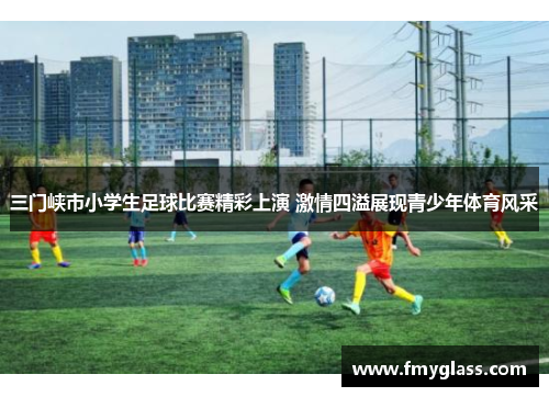 三门峡市小学生足球比赛精彩上演 激情四溢展现青少年体育风采